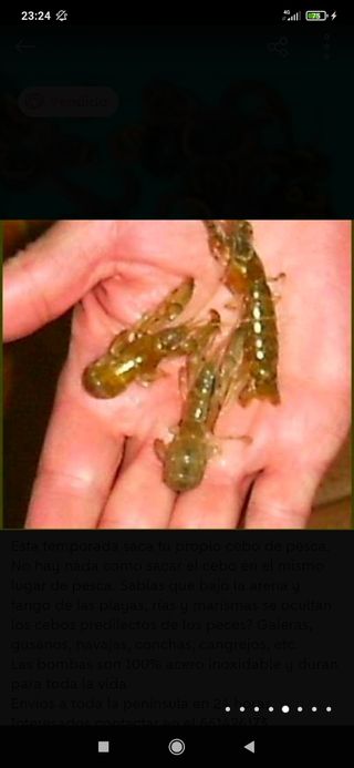 Bombas chuponas para sacar cebo de pesca