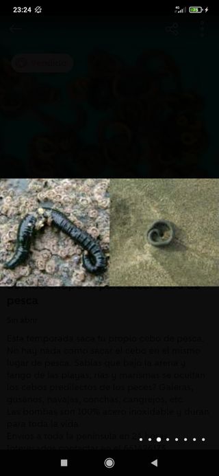 Bombas chuponas para sacar cebo de pesca