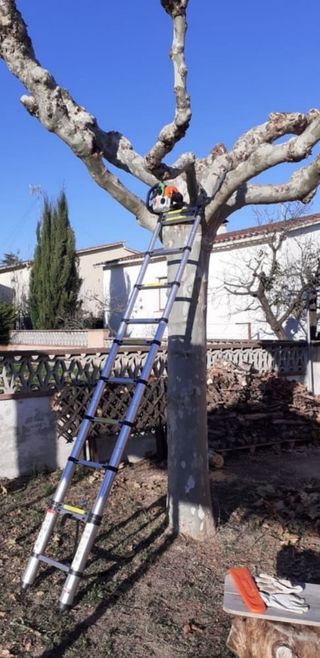 Jardinero experto – Poda, césped, riego y mantenim