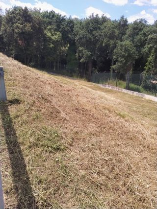 Jardinero experto – Poda, césped, riego y mantenim