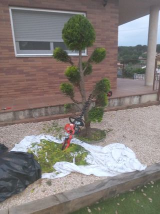 Jardinero experto – Poda, césped, riego y mantenim