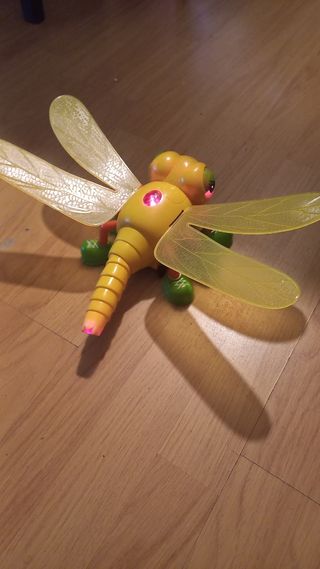 libélula musical C24