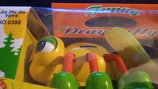 libélula musical C24