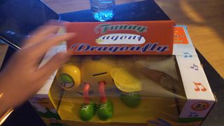 libélula musical C24