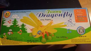 libélula musical C24