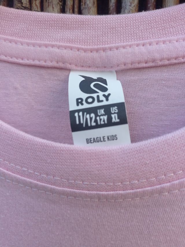 Pin up Rockabilly camiseta banderaConfederate Rosa