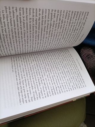 novela de Núria Esponellà