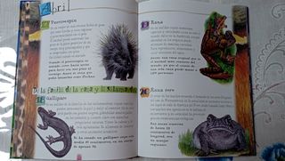 Libros Infantiles y Juveniles