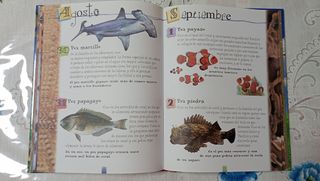 Libros Infantiles y Juveniles
