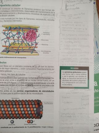 biología y geología 1 bachillerato. Oxford