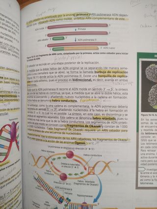 biología y geología 1 bachillerato. Oxford