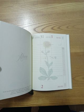 AGENDA 2003 DA COLLEZIONE