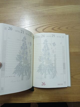 AGENDA 2003 DA COLLEZIONE