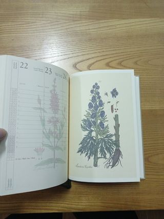 AGENDA 2003 DA COLLEZIONE