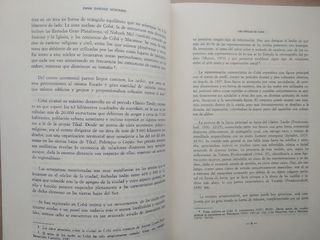 ESTELAS, MEDIDAS Y ESTÓLICAS. C. PREHISPÁNICOS 14