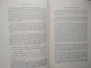 ESTELAS, MEDIDAS Y ESTÓLICAS. C. PREHISPÁNICOS 14