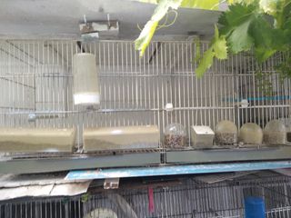 jaula de metro blanca