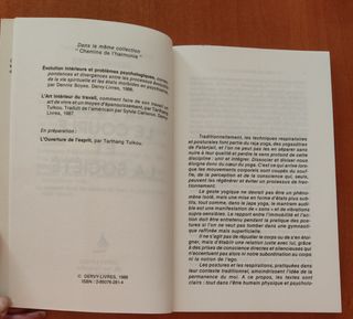 Dennis Boyes. Le yoga la couple et la societè