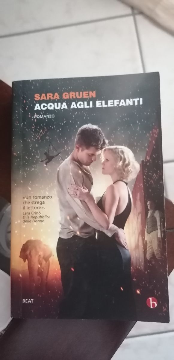 romanzo acqua agli elefanti