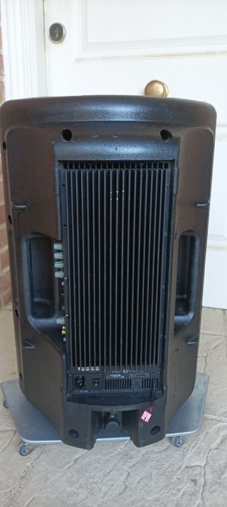 Pareja de altavoces biamplificados