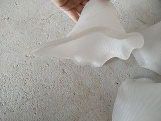 Tulipas para lámpara