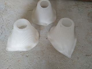 Tulipas para lámpara