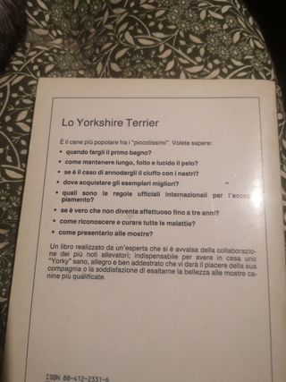 lo yorkshire terrier