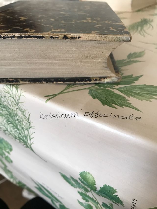 Las Industrias Agrícolas, libro Tomo I