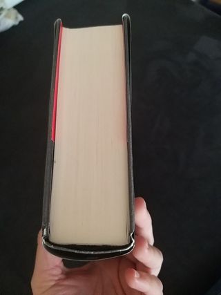 libro novela La violinista roja.
