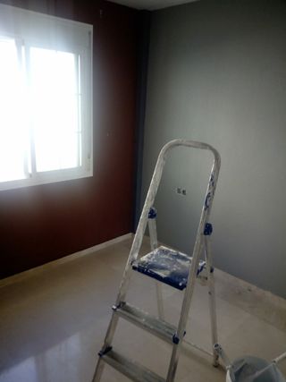 PINTOR ECONÓMICO