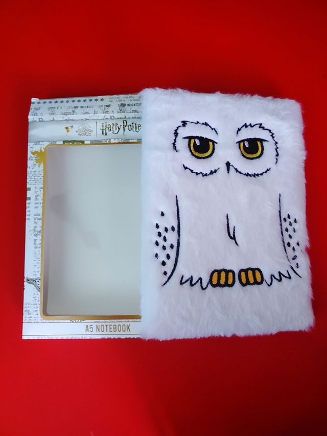 Cuadernos Harry Potter desde 5€