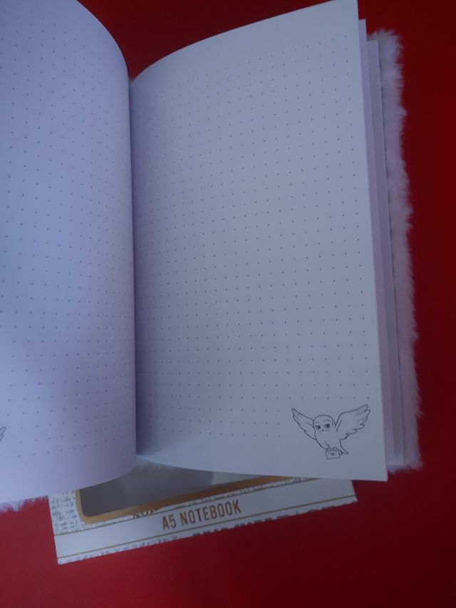 Cuadernos Harry Potter desde 5€