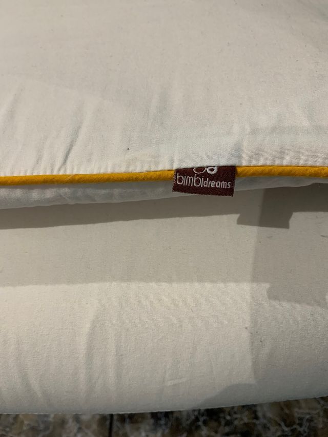 Chichonera bimbimDreams