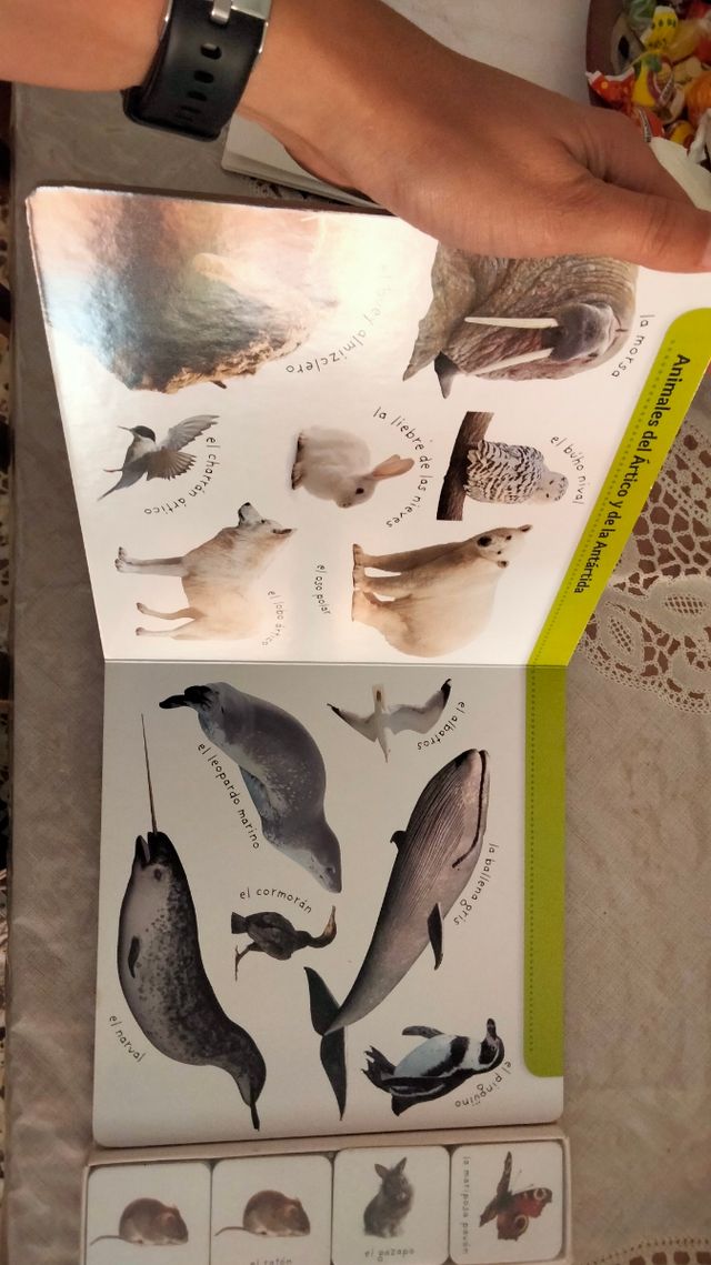 Libroyjuego animales