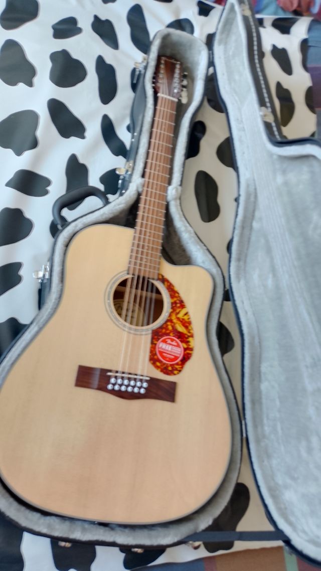 Estuche para guitarra acústica