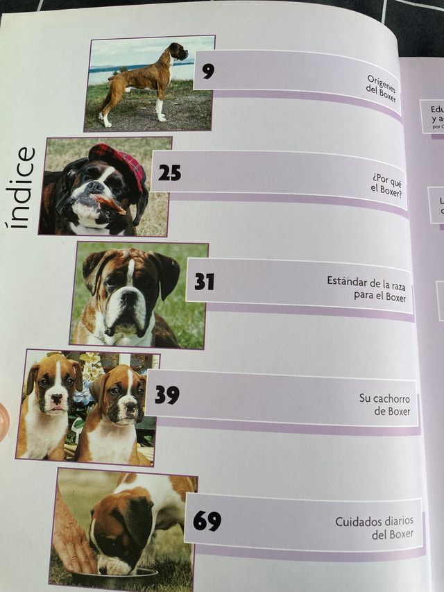 Libro "Bóxer"