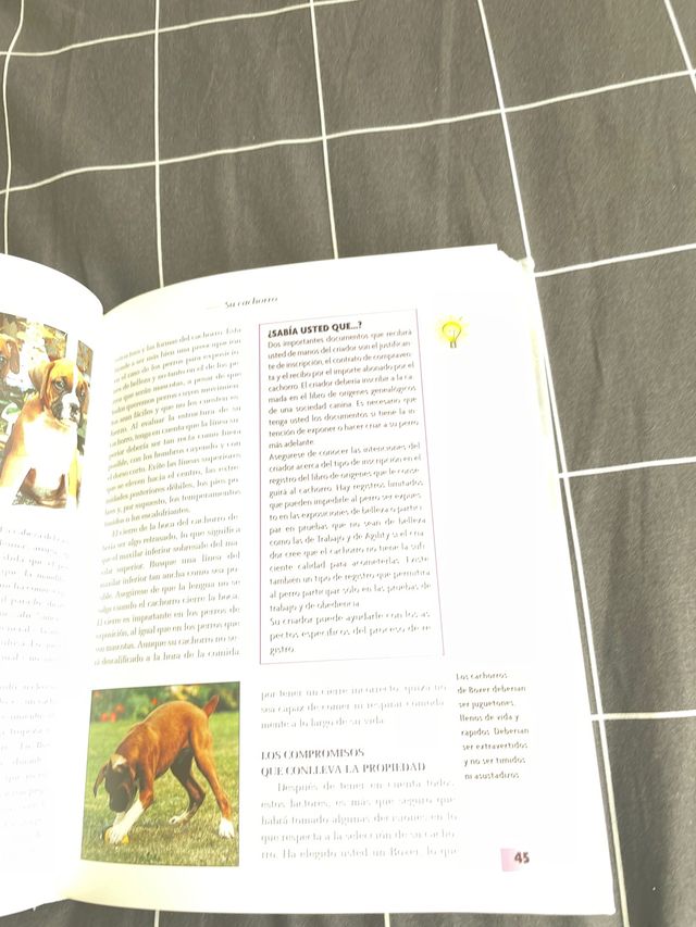Libro "Bóxer"