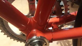 Vitus 888 (morata) clásica