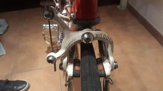 Vitus 888 (morata) clásica