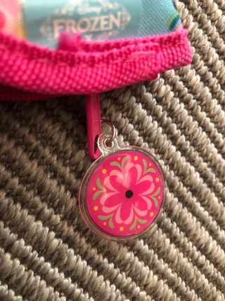 Funda de flauta escolar Frozen