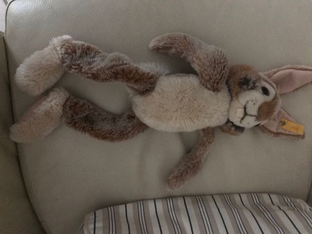 Conejo peluche Steiff
