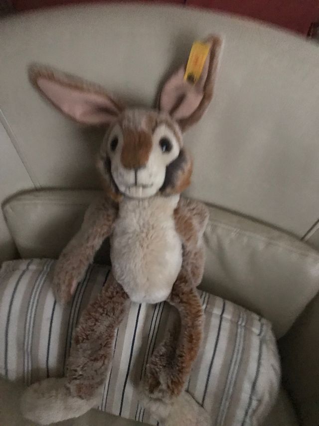 Conejo peluche Steiff