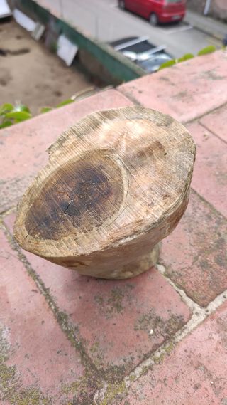 plataforma reptil terrario / acuario