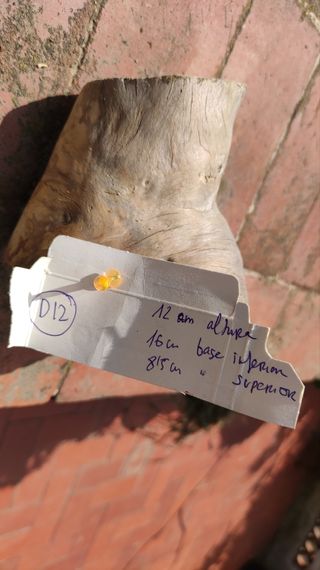 plataforma reptil terrario / acuario