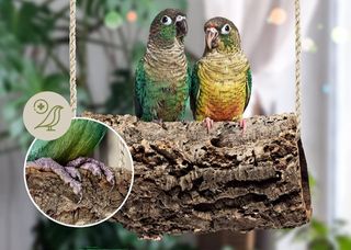 plataforma reptil terrario / acuario