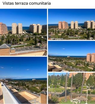 Alquiler vacacional 2026