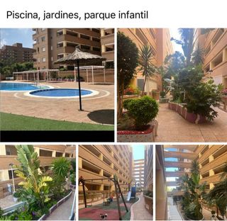 Alquiler vacacional 2026