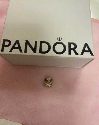Charm Pandora