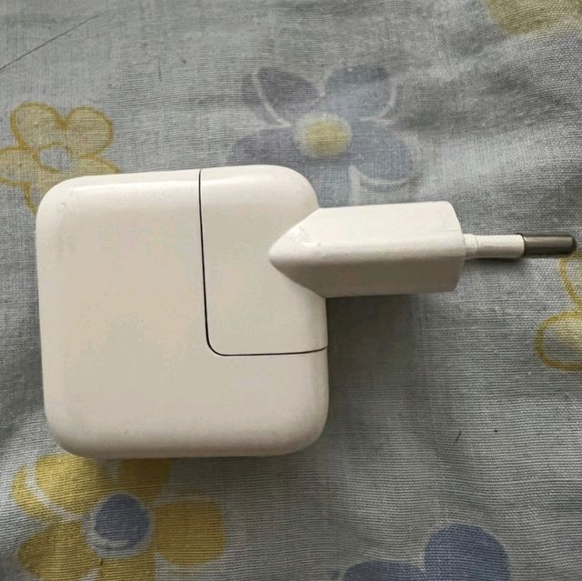 Enchufe Apple original