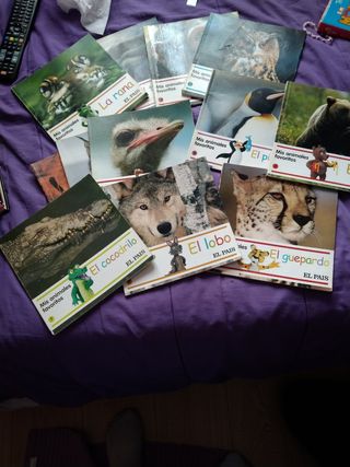 mis animales favoritos